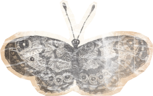 Weathered Historical Butterfly Cut-out